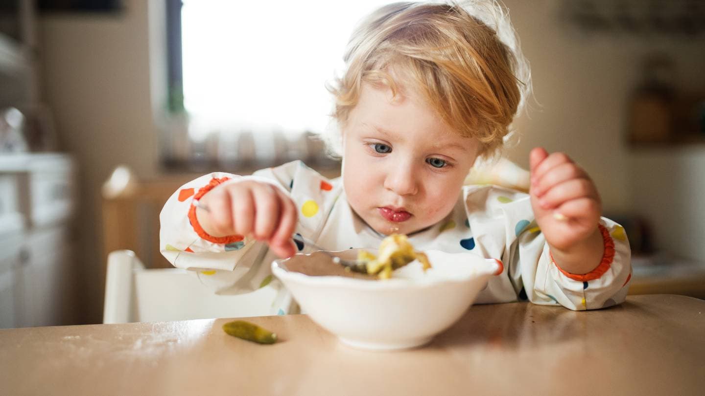 how to prepare food for early childhood brain development 1
